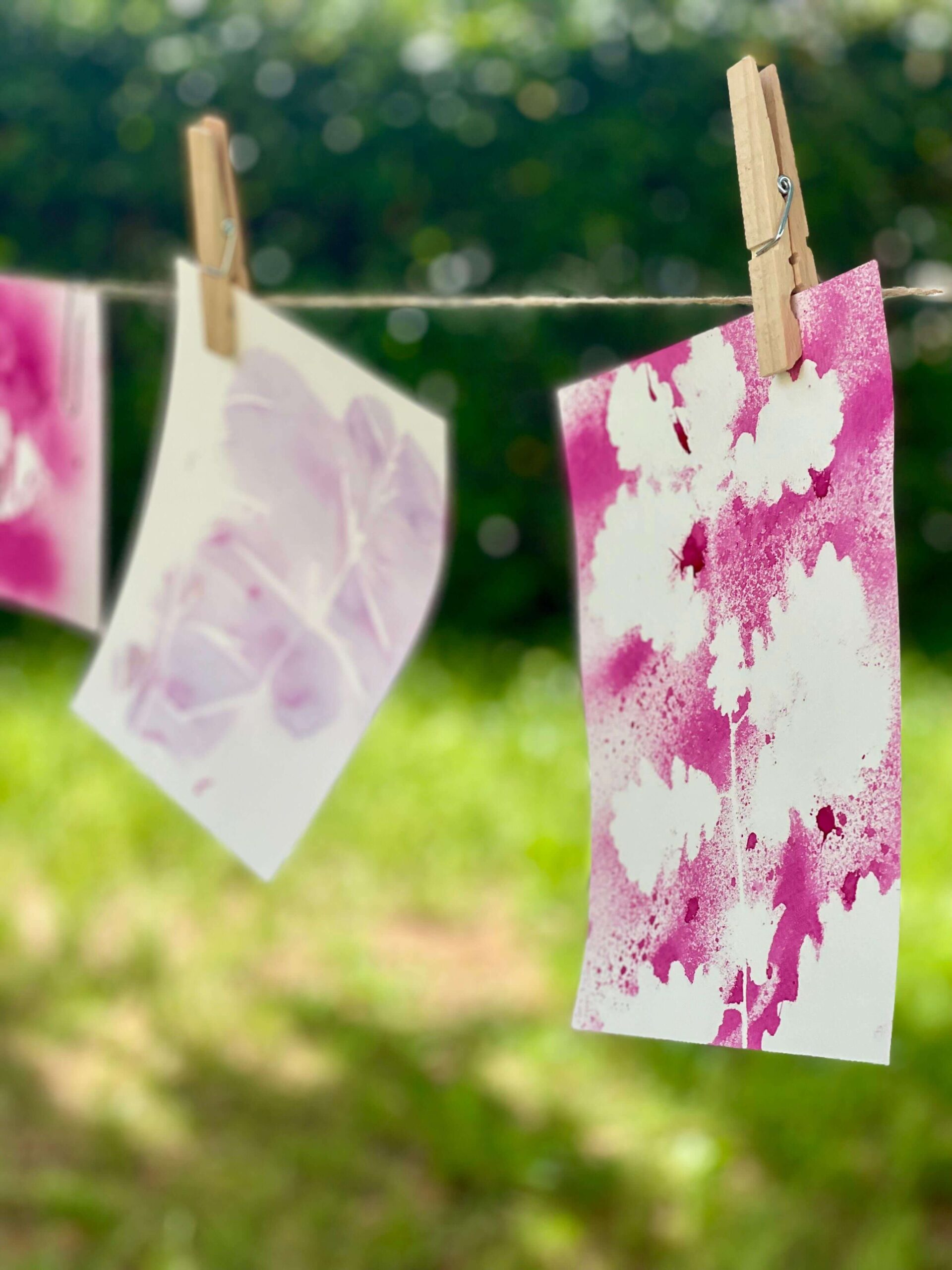 Laboratorio “Colori vegetali”