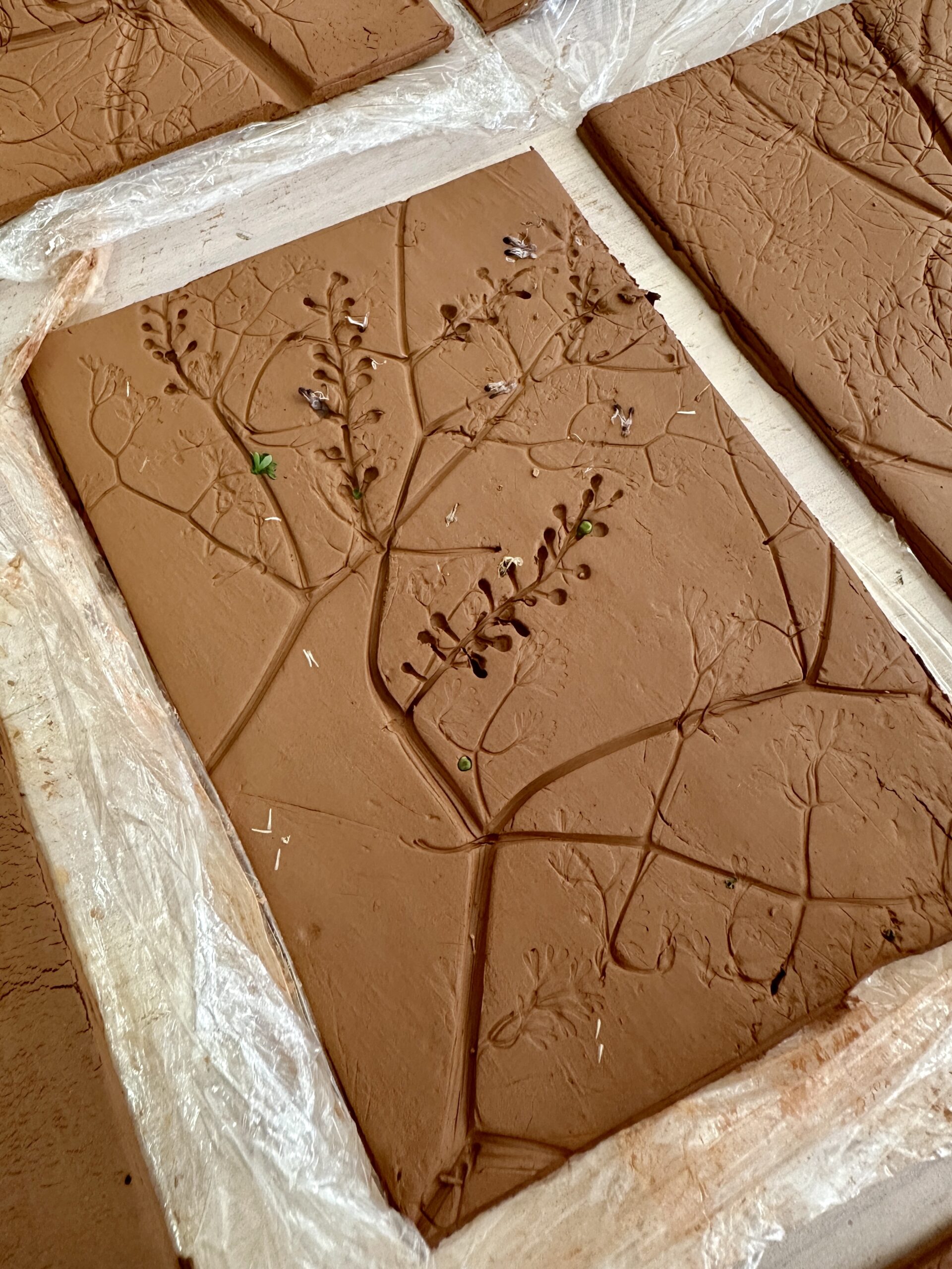 Laboratorio “Impronte naturali”